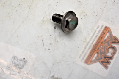 FB6 Triple Árbol Montaje Perno Grande 04 BICICLETA YAMAHA TTR225 TTR 225 ENVÍO GRATUITO A EE. UU. Foto 1 de 4