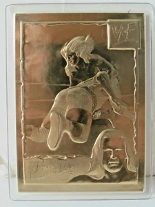 Tarjetas de tarjeta de oro de 22 kt #25 de Triple H WWE Wrestling Danbury como nuevas - Imagen 1 de 3