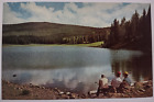 Vintage La Baron Lake Beaver Mountains Utah Chrome Postcard