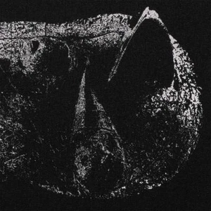 Demon Head - Viscera LP #138385 - Picture 1 of 1