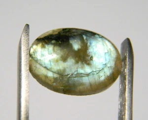 8.16 Carats Natural Multicolor Labradorite Cabochon Gemstone Oval MLB33 - Picture 1 of 4