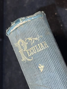 1863 PECULIAR A TALE OF THE GREAT TRANSITION. BY EPES SARGENT FIRST EDITION (5C) - Picture 1 of 7