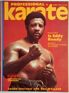 Professional Karate, The Story of Kung Fu, Vol 2, # 2, New, Rare, Mar 1975 - Picture 1 of 3