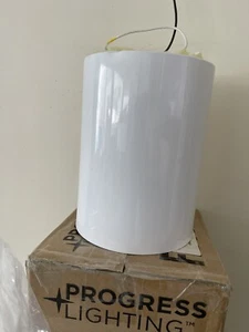 Progress Lighting P5774-30 Cylinder - 6.75 Inch Height - Outdoor Light - 1 Light - Picture 1 of 3