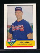 1994 Fleer ProCards Greenville Braves Brian Snitker #431 hot card