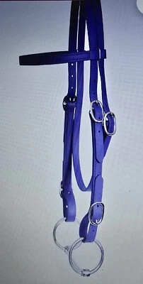 Brida de cabecera Horse Tack Beta Biothane tamaño caballo riendas a juego púrpura nueva Foto 1 de 4