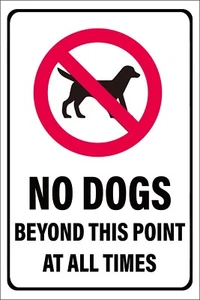 NO DOGS BEYOND THIS POINT AT ALL TIMES SIGN - VARIOUS BOARD SIGNAGE OPTIONS - Picture 1 of 1