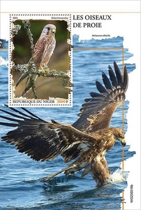 Hoja de sello BIRDS OF RAPY MNH 1v #2526 (2023 Niger) - Imagen 1 de 1