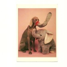 90s FINE ART POSTCARD WILLIAM WEGMAN FOTOFOLIO NYC SMALL PRINT RUN MOD POST CARD