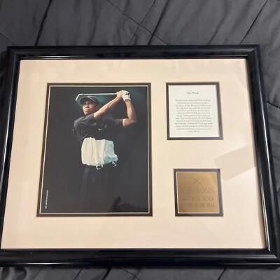 Foto Jugador del Año Tiger Woods 1997 PGA Tour - Marco Tamaño 20 in x 17 in Foto 1 de 4