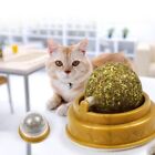 New Teeth Cleaning Cat Toys Catnip Balls Rotatable Interactive Cat Mint