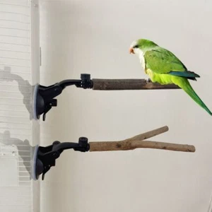 Wall Mount Parrot Tree Branch Bird Stand Stick for Parakeet Budgerigar - Picture 1 of 11