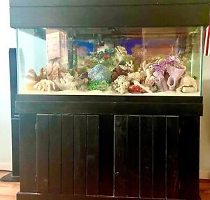 75-gallon aquarium with stand and water purification