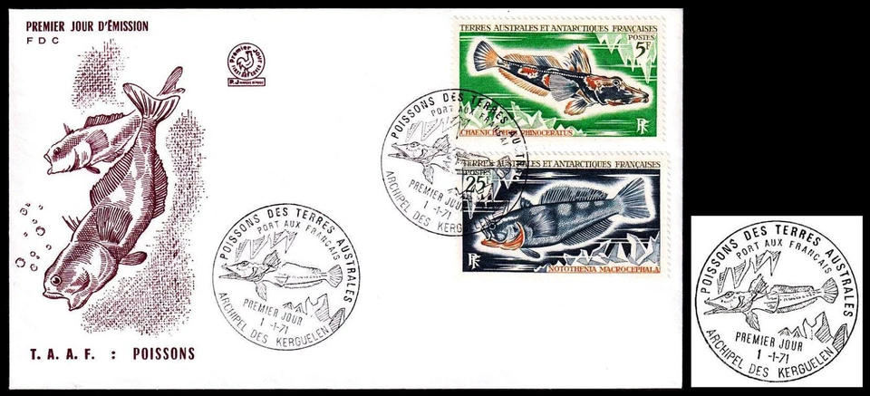 FSAT / TAAF 1971 Sc.37,41. Fishes (5,25F). FDC. Kerguelen. Special cancellation - Image 1 of 1