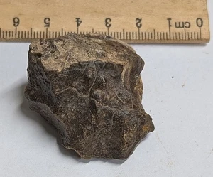 49 Gram Unclassified NWA METEORITE (#F7134) - Picture 1 of 1