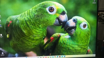 HP 17M ENVY TOUCH BW FHD i7-8550@4.0GHz+1TB M2 G4 SSD+16GB RAM+NVIDIA Gaming GPU - Image 1 of 4