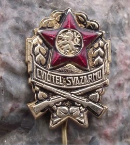 Svazarm Military Exercise Trainer Paramilitary Army Unit Crossed Rifle Pin Badge - Picture 1 of 4