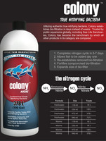 ATM COLONY MARINE FISH TRUST THE SHARK TANKED