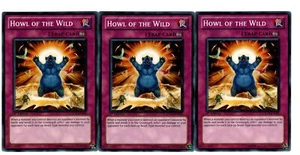 Yugioh- 3X Howl of the Wild - Common - 1st Edition - DREV-EN065 - Near Mint - Picture 1 of 1