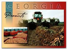 Vintage 1990s - Tractor and Peanut Harvester, Georgia Postcard (UnPosted)