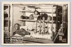 Bizarre Jivaro Indianer Schrumpfköpfe & SELTENE Torso und Mumie WA RPPC Postkarte - Bild 1 von 2