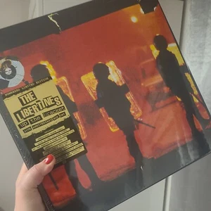 UP THE BRACKET (20TH ANNIVERSARY EDITION) BOXSET 2LP/2CD/2 18cm /DVD/CS [CD] - Picture 1 of 5