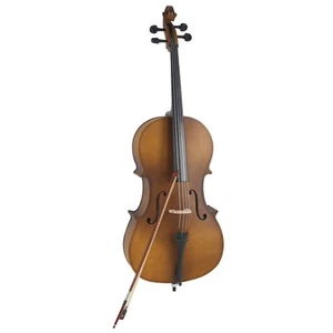 Estuche Acústico para Violonchelo Arco Colofonia Madera Color para Violonchelos 4/4 Ligero Duradero - Imagen 1 de 12