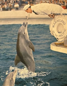 Cartolina d'epoca Oceanarium - Foto 1 di 2