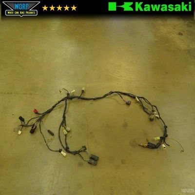 Kawasaki KFX700 2006 arnés de cables telar cable enchufe ~ OEM 05-08 Foto 1 de 4