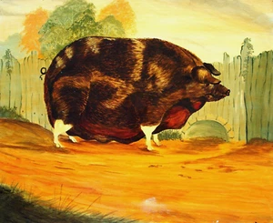 Leslie Stafford (1949–2024) Naive Folk Painting. Pig owned by Richard Dyott 1794 - Picture 1 of 4