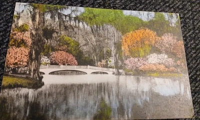 Magnolia Gardens, Charleston, SC - The Bridge - 1920s, Unposted Postcard  - Image 1 of 4