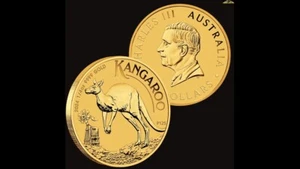 2024 AUSTRALIA KANGAROO $25 1/4oz .9999 Pure 24k GOLD Bullion Coin - Picture 1 of 2