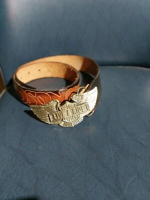 Hebilla Harley Davidson Original Edades 80 Cinturón Hebilla Raintree Cinturón Vintage Foto 1 de 4