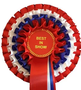 BEST IN SHOW ROSETTE (4 Tier Red/White/Blue/Red) *FREE POSTAGE* - Picture 1 of 3