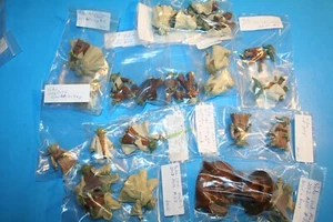 STAR WARS YODA 1995-2010 POTF/AOTC/SOTE/TAC LOOSE ACTION FIGURES - Picture 1 of 64