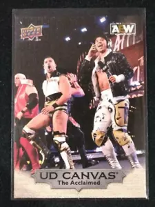 2022 AEW Upper Deck The Acclaimed Canvas SSP Insert C17 Mint - Picture 1 of 3