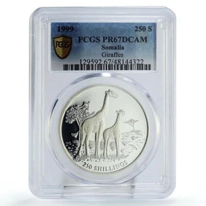 Somalia 250 shillings Conservation Giraffes Fauna PR67 PCGS silver coin 1999 - Picture 1 of 2