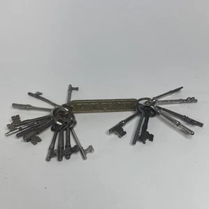 18 ANTIQUE AUTHENTIC DOOR SKELETON KEYS With Junk Dealer Key Ring - Picture 1 of 7