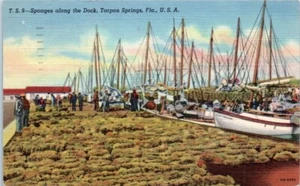 SPONGES and Sailboats along the Dock TARPON SPRINGS, Florida FL linen Postcard - Picture 1 of 2