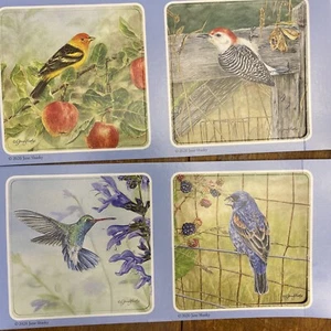 Neu Vogel Stanzkarten Jane Shasky 4er Set inspirierend - Bild 1 von 9