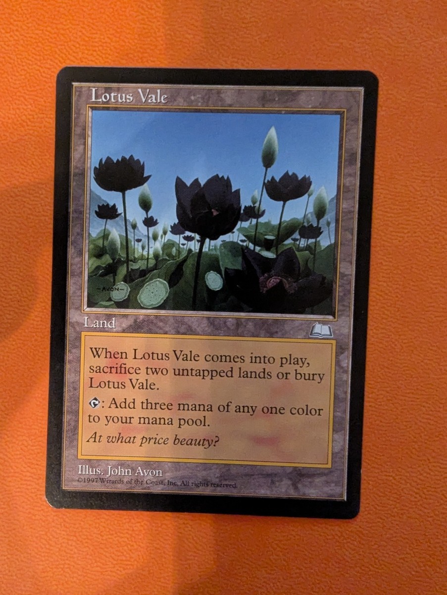 沼　４枚セット　john avon lotus land MTG ロータスランド】John Avon氏が描く美麗アート基本土地は