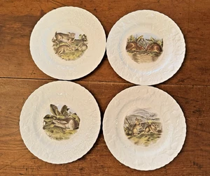 Set 4 Queens Bone China Porcelain Bunny Rabbits 8” Salad Dessert Plates - Picture 1 of 7