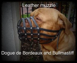 Bozal de perro de cuero ligero para Dogo de Burdeos y Bullmastiff - Imagen 1 de 18