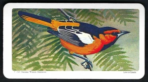 BROOKE BOND (CANADA) - CANADIAN / AMERICAN SONGBIRDS - #34 BULLOCKS ORIOLE - Picture 1 of 2