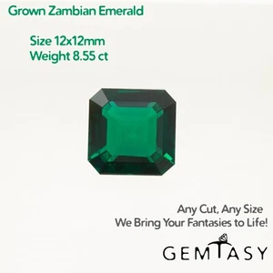 Piedra cortada - Esmeralda Zambia cultivada en laboratorio, faceta octágono 12x12 mm 8,55 quilates - Imagen 1 de 7