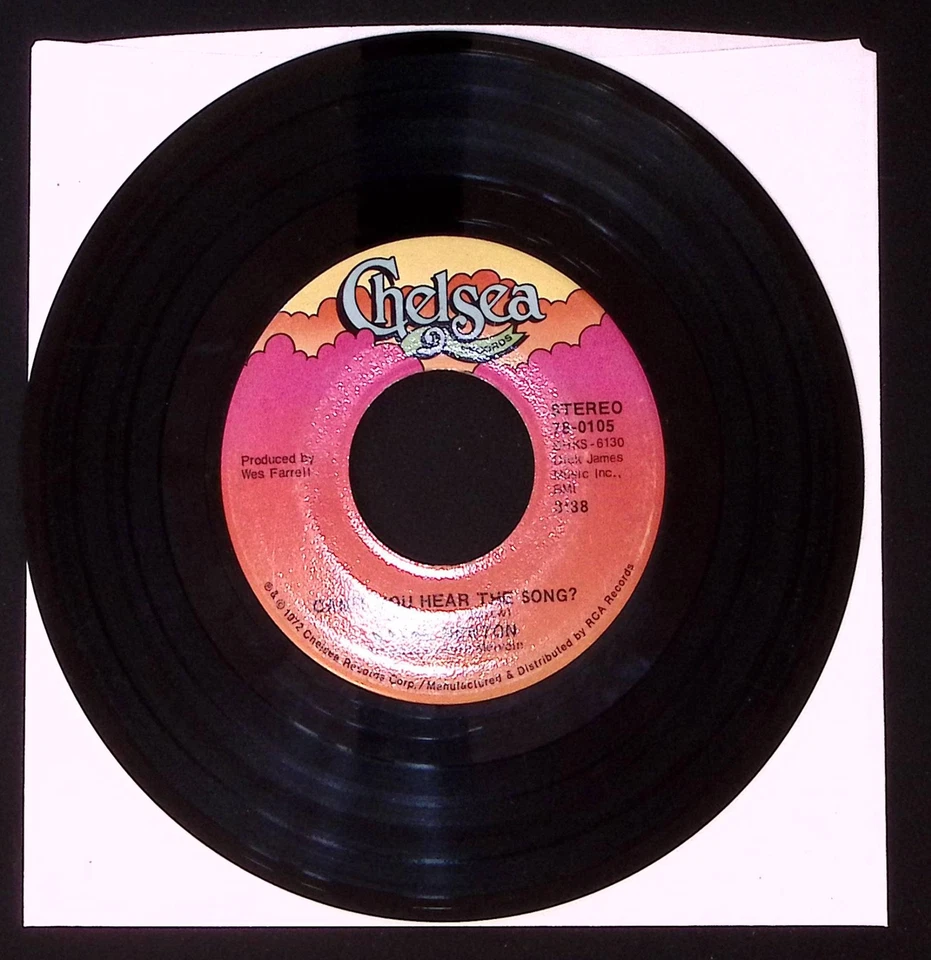 WAYNE NEWTON YOU DON'T HAVE TO ASK/CAN'T YOU HEAR THE SONG?/C  VINYL 45 VG 34-39 Foto 1 de 2