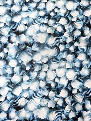 Timeless  Treasures - Packed Blue Seashells 🐚 Beach Quilting & Crafting Fabric - Image 1 of 3