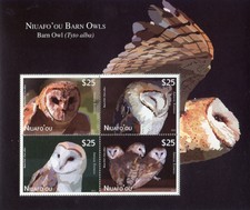 Tonga Niuafo'ou 2012 bf 41 rapaci notturni mnh