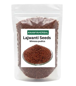 Lajwanti Seeds – Lajjalu - Chui Mui – Mimosa Pudica Seeds , 100% Herbal & Pure - Picture 1 of 2