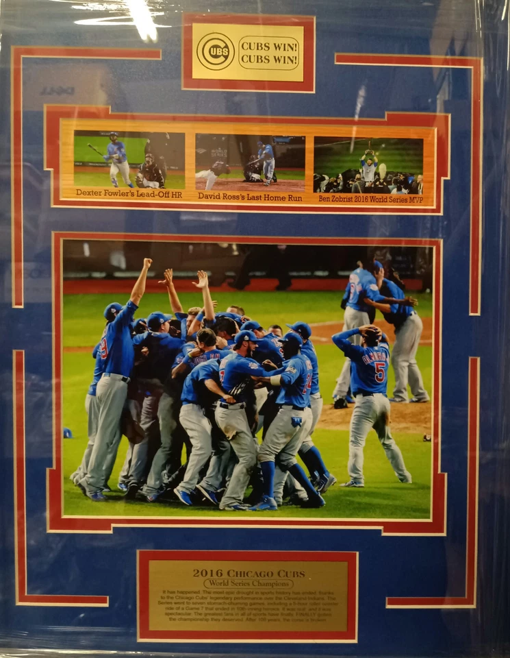 Foto de los Chicago Cubs 2016 "Cubs Win" con marco personalizado 22x18 Fowler Ross Zobrist Foto 1 de 3